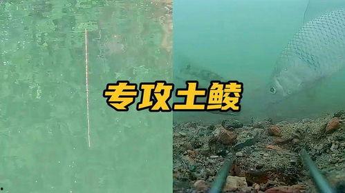 最新钓鱼爆料配方,独家爆料配方大公开！