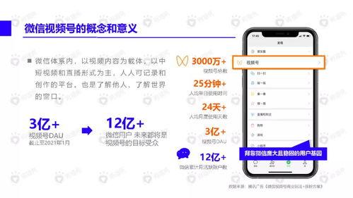 大海王者爆料视频下载安装,独家爆料视频下载与安装全攻略  第3张