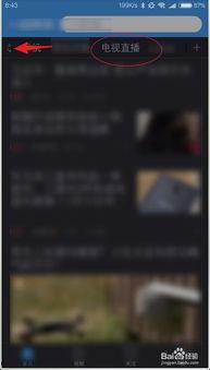 上海东方卫视直播在线观看回看,精彩瞬间尽收眼底