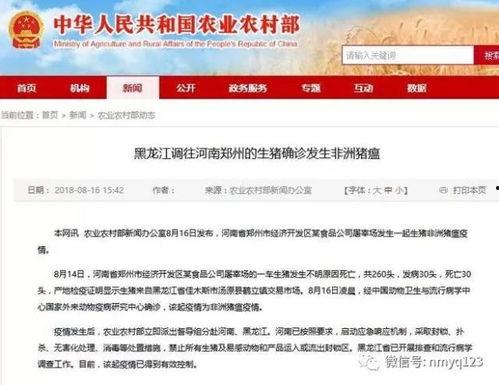 八村最新爆料新闻报道,揭秘背后惊人真相!” 第2张 八村最新爆料新闻报道,揭秘背后惊人真相!” 第2张