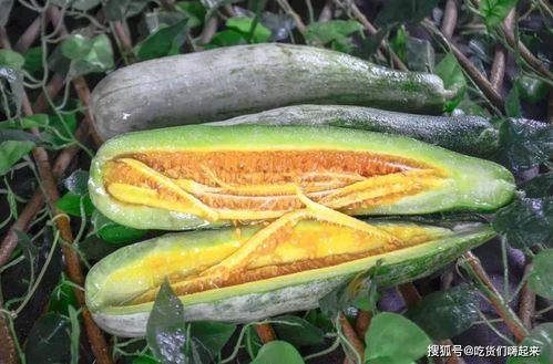 网红泡泡和黄钰吃瓜,一场吃瓜盛宴背后的故事 第3张 网红泡泡和黄钰吃瓜,一场吃瓜盛宴背后的故事 第3张