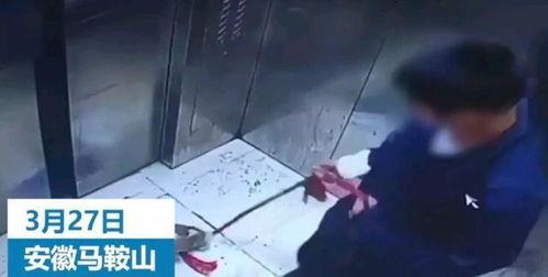 辽宁男孩爆料视频,揭秘惊人真相! 第3张 辽宁男孩爆料视频,揭秘惊人真相! 第3张