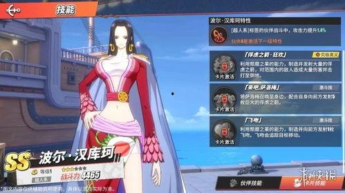航海王热血女帝爆料视频,热血女帝独家爆料，揭秘神秘力量与神秘人物