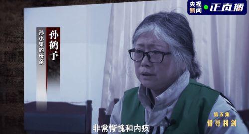 孙小果爆料者视频合集,揭露惊人内幕与真相 第2张 孙小果爆料者视频合集,揭露惊人内幕与真相 第2张