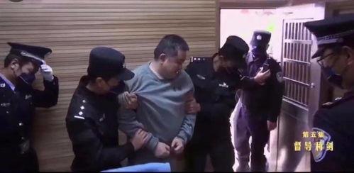 孙小果爆料者视频合集,揭露惊人内幕与真相 第3张 孙小果爆料者视频合集,揭露惊人内幕与真相 第3张