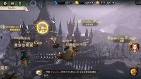 迷你巫师爆料视频大全集,揭秘魔法世界的秘密与奇迹