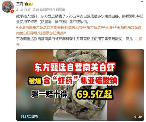 最新龙吟爆料新闻报道,揭秘神秘势力动向与未来走向