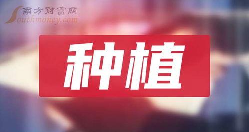 最新龙吟爆料新闻报道,揭秘神秘势力动向与未来走向 第3张 最新龙吟爆料新闻报道,揭秘神秘势力动向与未来走向 第3张
