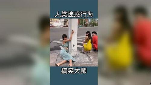 今日爆料搞笑视频大全,笑料十足,欢乐无限 第3张 今日爆料搞笑视频大全,笑料十足,欢乐无限 第3张