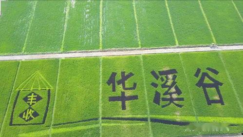 《乐园》在线观看,探寻虚拟与现实交织的奇幻世界 第3张 《乐园》在线观看,探寻虚拟与现实交织的奇幻世界 第3张