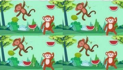 吃瓜狗血故事免费阅读