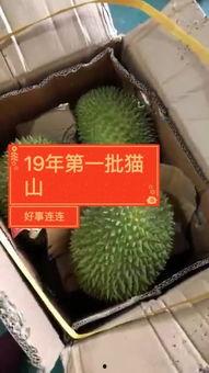 榴莲哥最新爆料,娱乐圈最新爆料大揭秘! 第2张 榴莲哥最新爆料,娱乐圈最新爆料大揭秘! 第2张