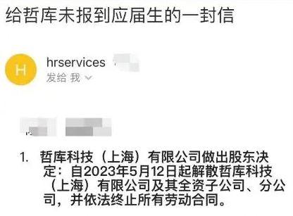 阿里爆料裁员最新消息,揭秘裁员背后的真相与影响 第3张 阿里爆料裁员最新消息,揭秘裁员背后的真相与影响 第3张