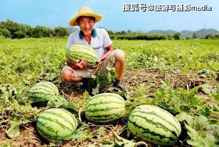 帝王路 吃瓜人免费,吃瓜人视角下的权谋风云 第3张 帝王路 吃瓜人免费,吃瓜人视角下的权谋风云 第3张