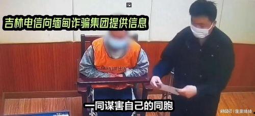 央视今日说法爆料电话,揭开真相背后的秘密 第3张 央视今日说法爆料电话,揭开真相背后的秘密 第3张