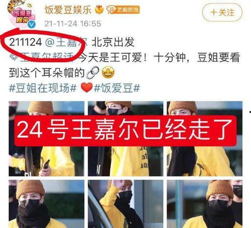 东北男人爆料视频播放网站,揭秘热门视频网站背后的秘密 第2张 东北男人爆料视频播放网站,揭秘热门视频网站背后的秘密 第2张