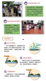 暴雨热点爆料新闻内容,紧急救援行动全面展开