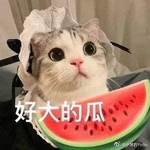 网红吃瓜意味什么,揭秘网络时代的娱乐风向标 第2张 网红吃瓜意味什么,揭秘网络时代的娱乐风向标 第2张