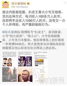 娱乐圈爆料扒皮,揭秘明星背后的真实故事 第2张 娱乐圈爆料扒皮,揭秘明星背后的真实故事 第2张