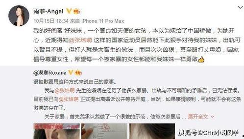 董建平最新爆料视频,事件真相再引热议 第3张 董建平最新爆料视频,事件真相再引热议 第3张
