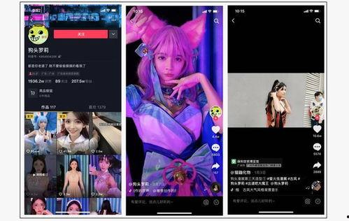 网红在线爆料网站视频,视频内容背后的真相与争议