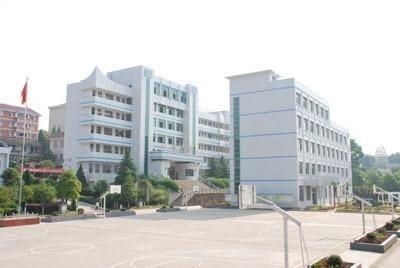 浏阳新弘学校爆料视频,浏阳新弘学校爆料视频揭露惊人内幕