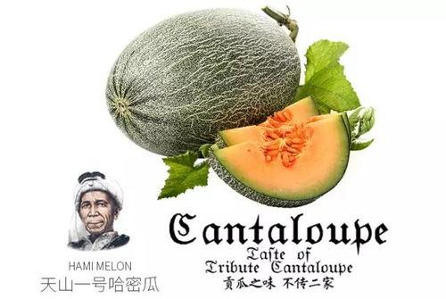 娱乐吃瓜设计理念是什么,揭秘娱乐圈幕后故事,带你领略趣味横生的娱乐圈生态 第2张 娱乐吃瓜设计理念是什么,揭秘娱乐圈幕后故事,带你领略趣味横生的娱乐圈生态 第2张