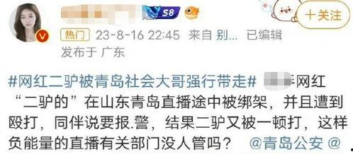 网红二驴新闻爆料,揭秘娱乐圈惊人内幕