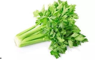 爆料人酒仙小芹菜视频,揭秘娱乐圈惊人内幕 第2张 爆料人酒仙小芹菜视频,揭秘娱乐圈惊人内幕 第2张