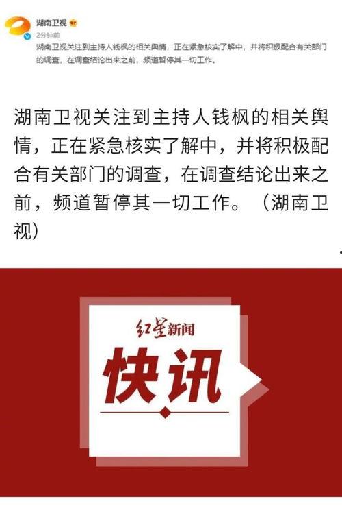 电视台最新爆料视频,电视台独家视频内容大曝光! 第3张 电视台最新爆料视频,电视台独家视频内容大曝光! 第3张
