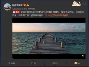 阿拉伯人爆料视频大全,揭秘真实生活瞬间 第2张 阿拉伯人爆料视频大全,揭秘真实生活瞬间 第2张
