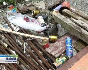 农村生活爆料最新,揭秘乡村振兴背后的故事 第2张 农村生活爆料最新,揭秘乡村振兴背后的故事 第2张