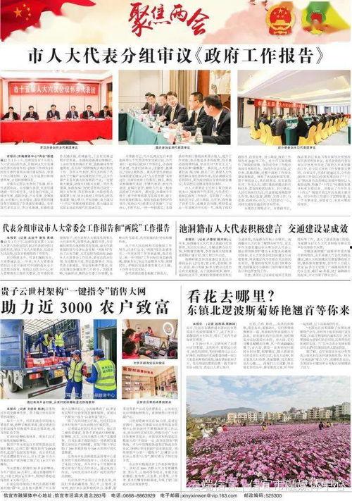 信宜最新爆料新闻事件,某重大事件引发社会关注，真相即将揭晓！  第3张