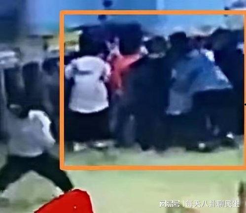 彩虹父母爆料视频大全集,揭秘育儿路上的酸甜苦辣  第3张 彩虹父母爆料视频大全集,揭秘育儿路上的酸甜苦辣  第3张