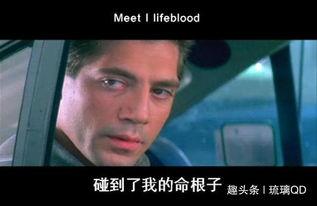 电影两腿之间在线观看,一场跨越时空的激情邂逅