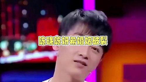 陈晓吃瓜娱乐视频,揭秘明星幕后趣事  第2张
