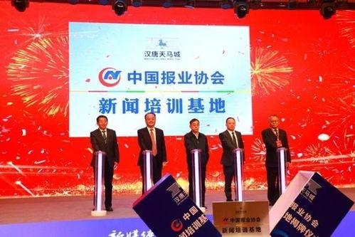 关于汉唐最新爆料的新闻,揭秘古代文明的新篇章 第3张 关于汉唐最新爆料的新闻,揭秘古代文明的新篇章 第3张