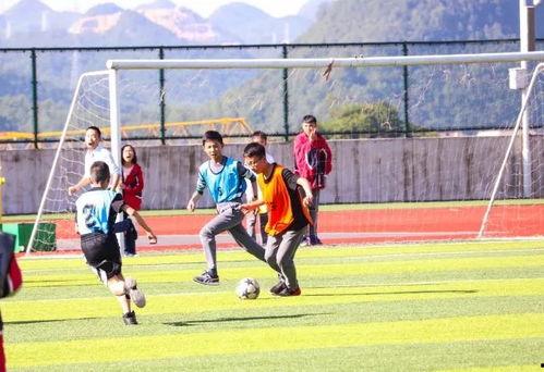 体育足球最新爆料,揭秘最新足球赛事内幕与热点爆料  第3张