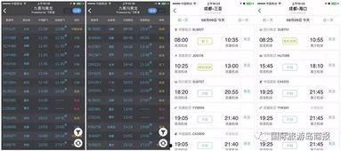 海南游客爆料最新消息,海滩现神秘生物,引发热议! 第2张 海南游客爆料最新消息,海滩现神秘生物,引发热议! 第2张