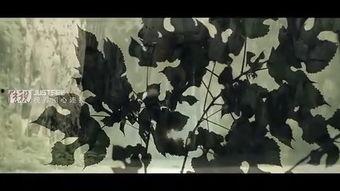 野狼谷全集在线观看,在线观看，探寻神秘野狼谷的传奇之旅