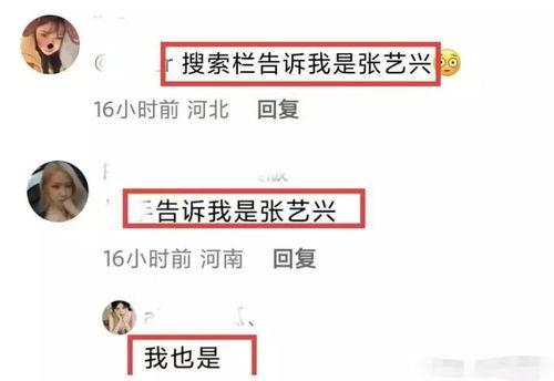 娱乐圈聊天吃瓜,揭秘明星私下聊天吃瓜瞬间  第3张