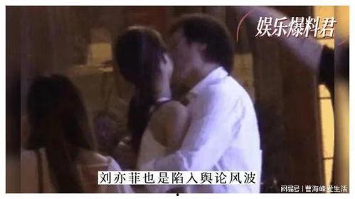 刘亦菲绯闻最近爆料视频 第2张 刘亦菲绯闻最近爆料视频 第2张