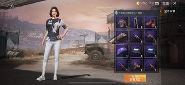 吃鸡军需爆料最新消息,神秘军需即将上线,战力提升指日可待! 第3张 吃鸡军需爆料最新消息,神秘军需即将上线,战力提升指日可待! 第3张