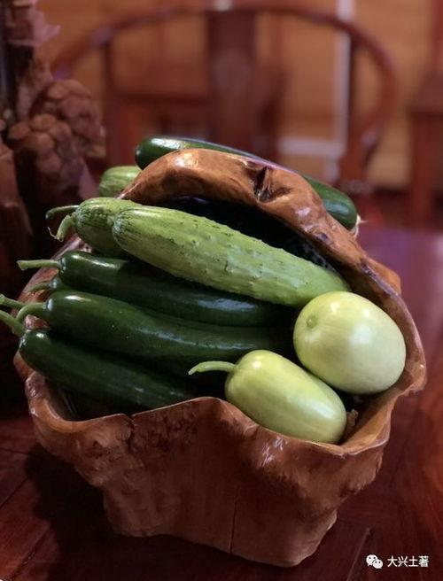 网红吃瓜日照,一场视觉与味蕾的双重盛宴  第1张