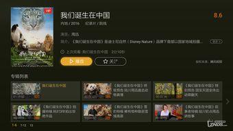 极光最新爆料视频,神秘视频揭示宇宙奇观 第1张 极光最新爆料视频,神秘视频揭示宇宙奇观 第1张